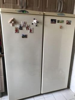 یخچال و فریزر دوقلوی پارس