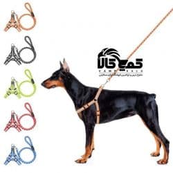 بند قلاده سگ