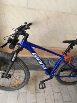 دوچرخه جاینت سایز 29