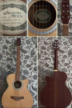 گیتار SEQUOIA نو کیس واترپروف و پایه ی نگهدارنده 