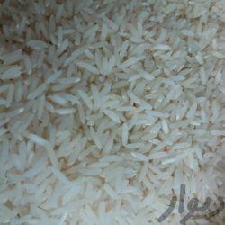 فروش برنج ارگانیک هاشمی درجه 1